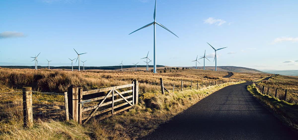 Wind farm generating power