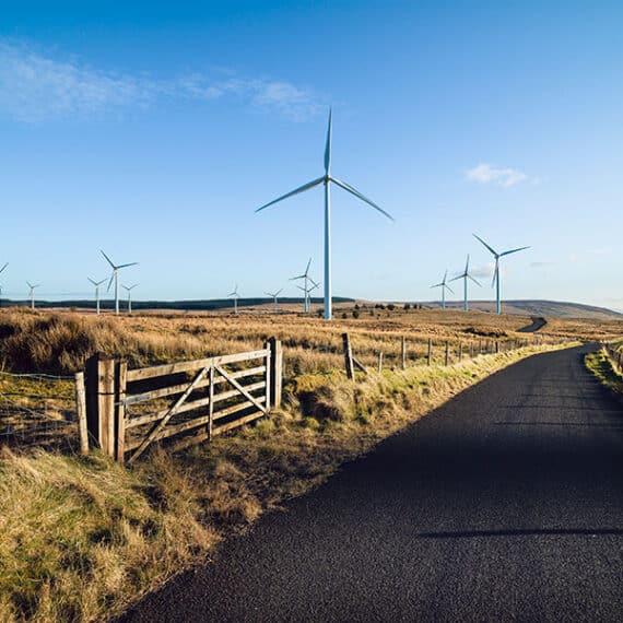 Wind farm generating power