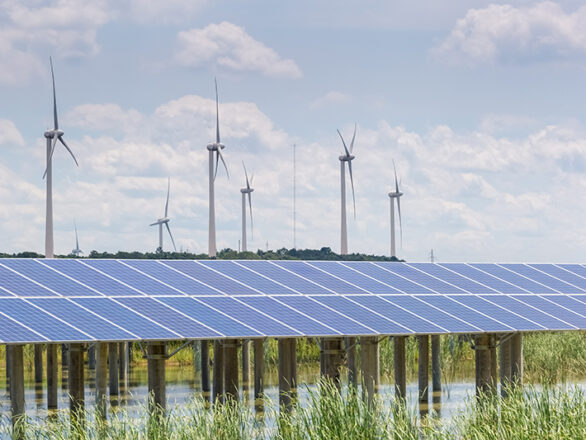 Solar and wind farm for renewable energy