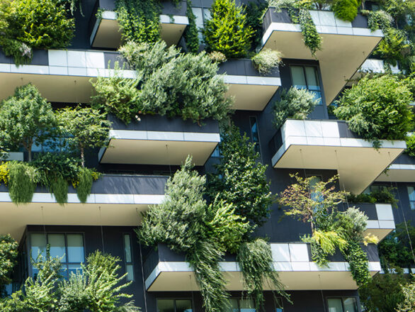 Sustainable building with vertical gardens