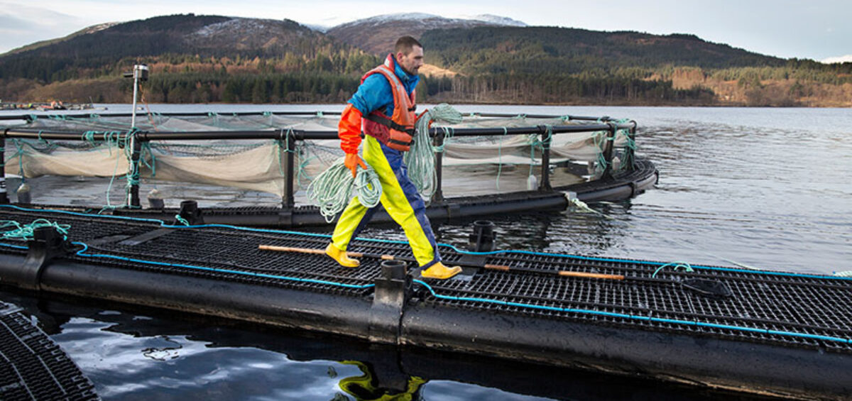 Worker at salmon farm - Power quality metering for aquaculture industry