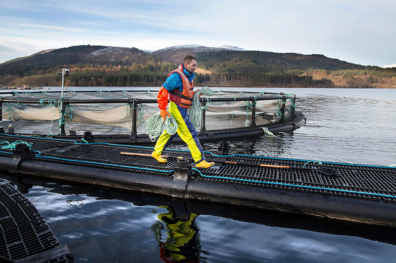 Worker at salmon farm - Power quality metering for aquaculture industry