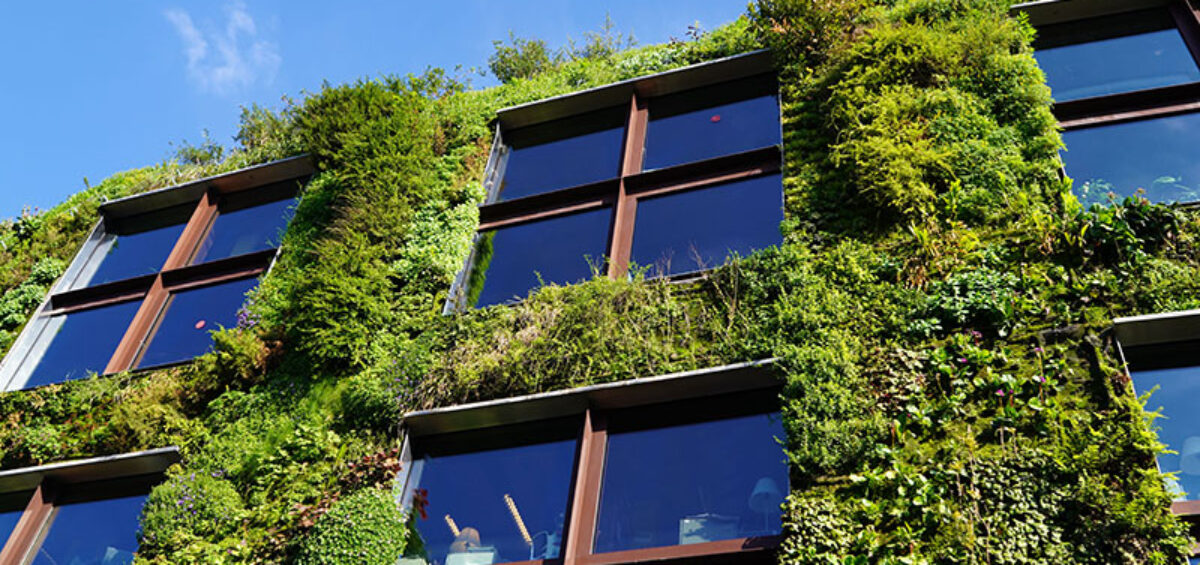 Green Star energy efficient commercial building with vertical plantings and smart metering