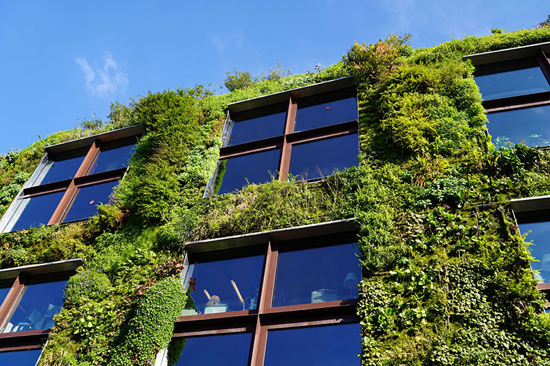 Green Star energy efficient commercial building with vertical plantings and smart metering